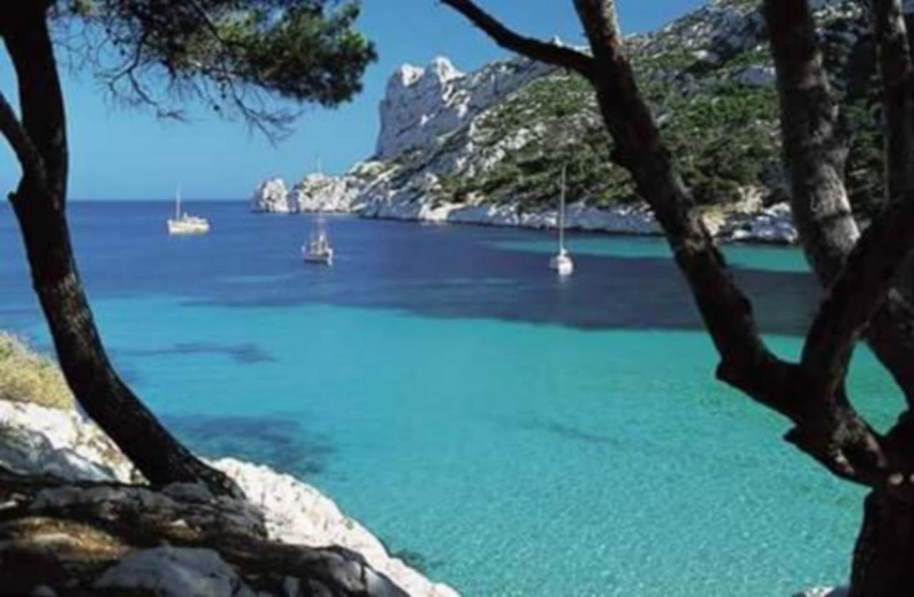L'odyssee Bleue Vue Cassis